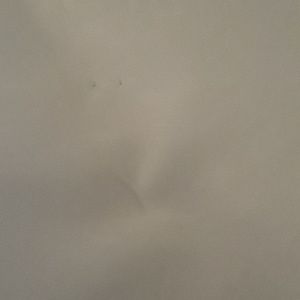 Meet your Posher, Ray